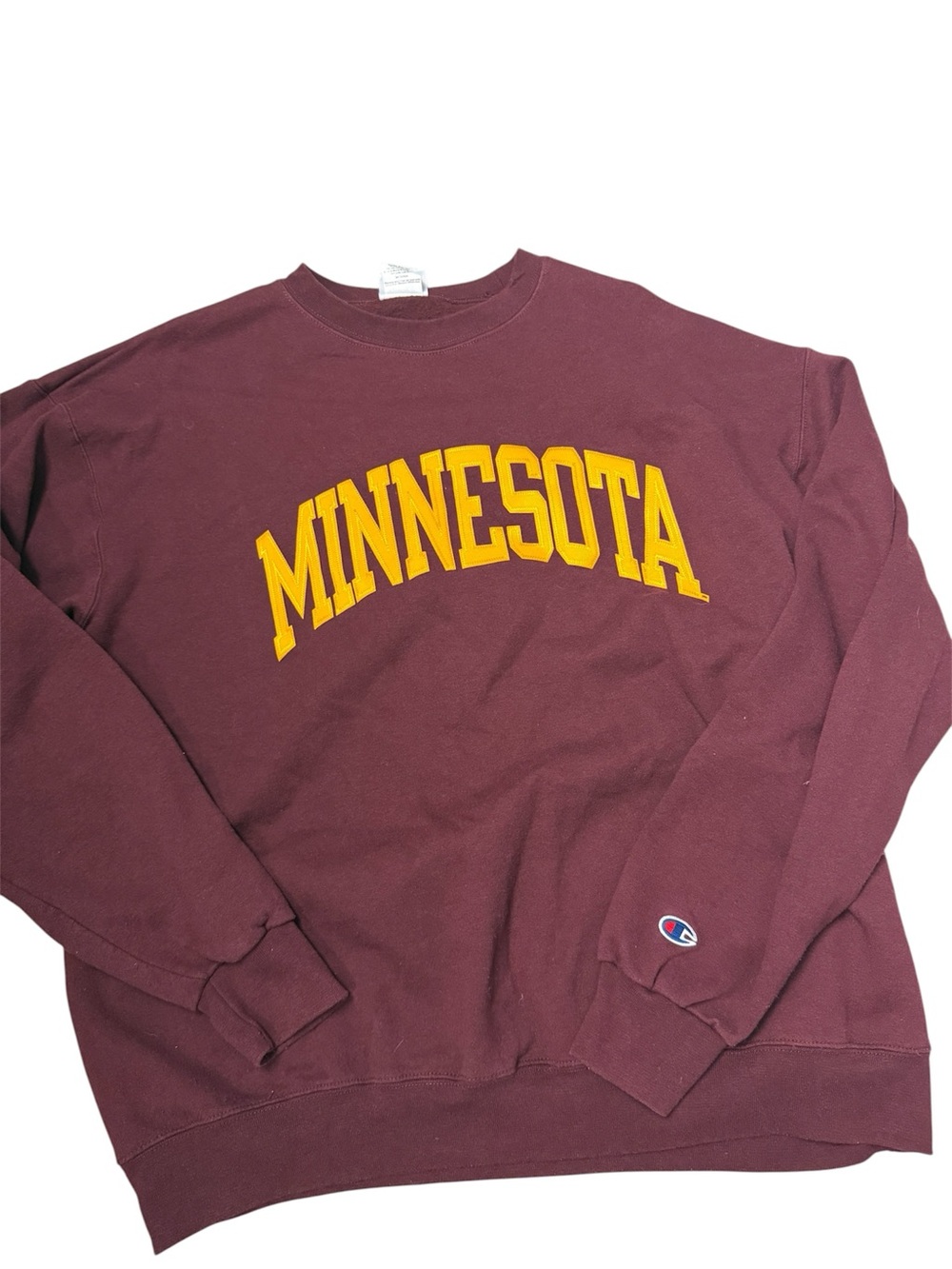 Vintage Champion Minnesota crewneck sweatshirt Y2K Champion reverse weave